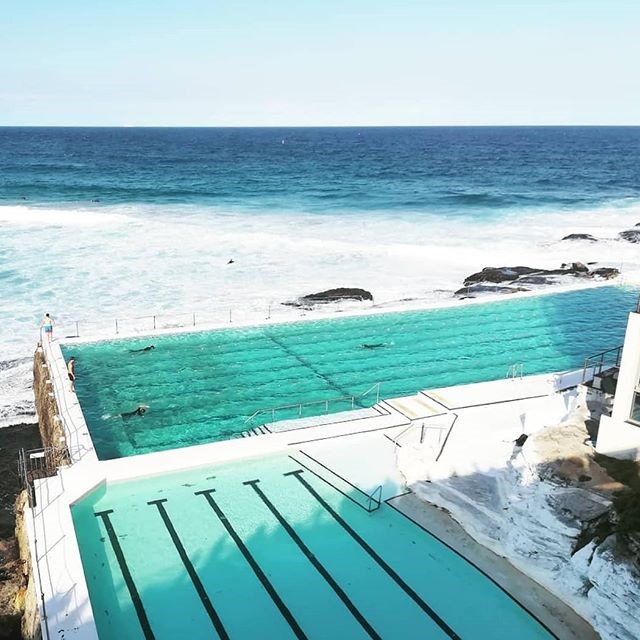 Bondi Icebergs