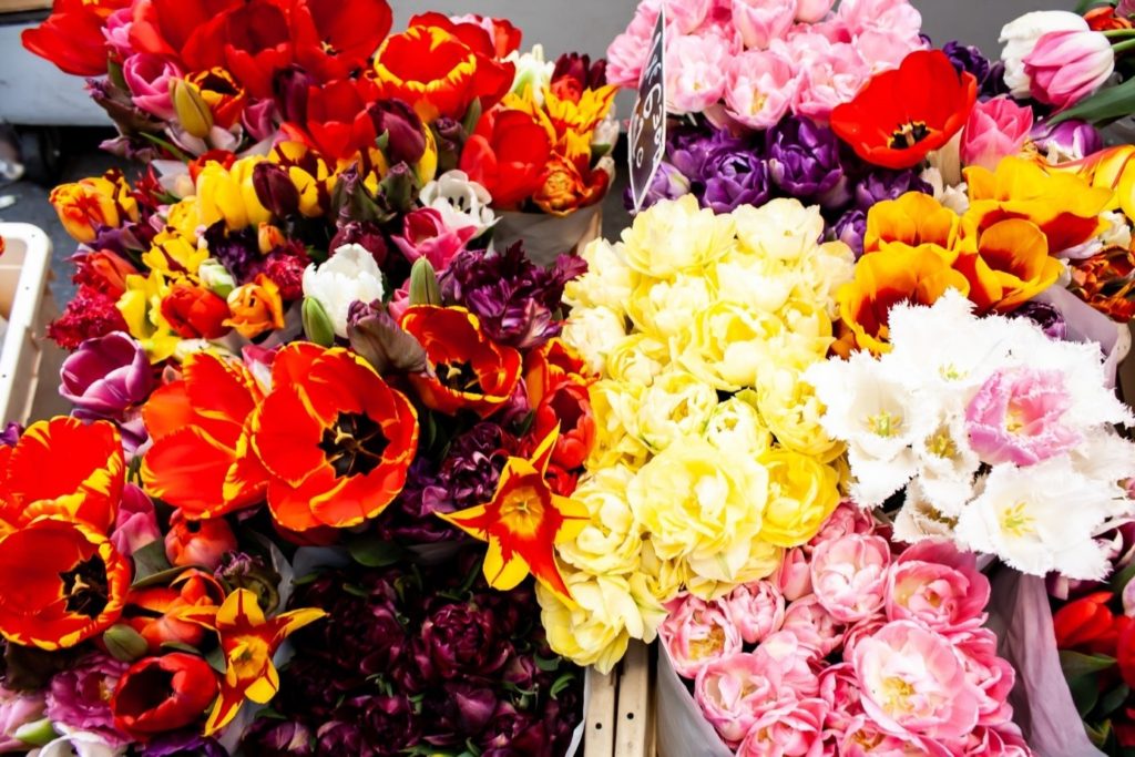 Beautiful flower markets to travel amsterdam