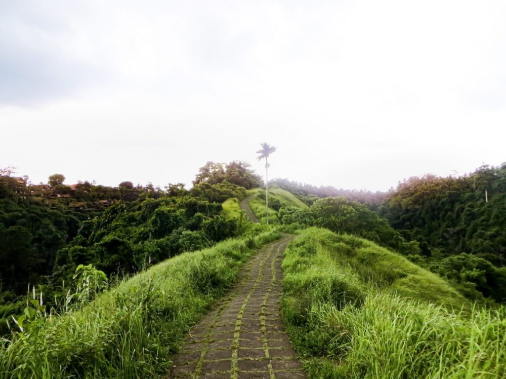 Can´t miss the Campuhan Ridge Walk oin the Bali 2 week itinerary