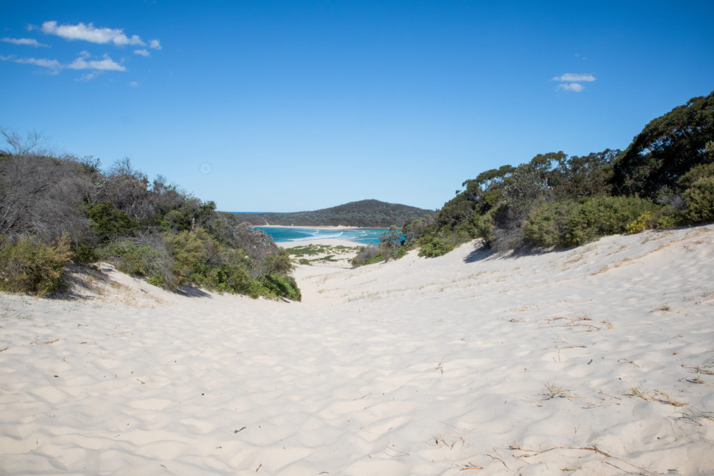 Port Stephens travel guide favourites: fingal spit hill