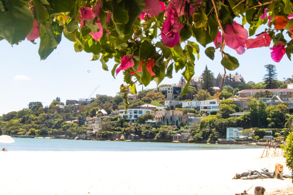 Rose Bay Beach