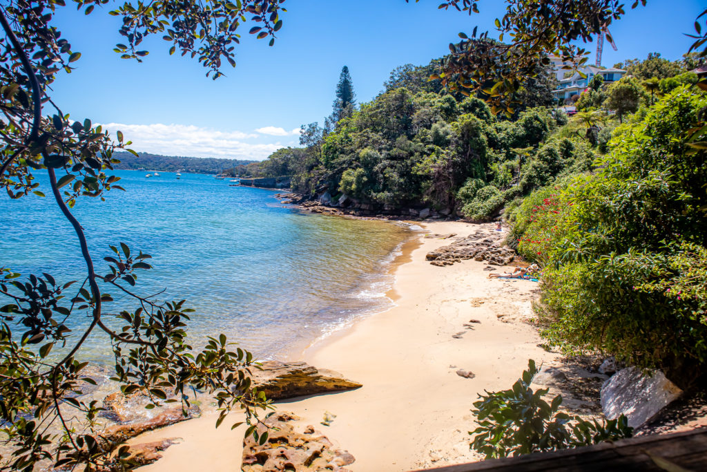 Beach in Sydney on the Rose Bay to Watsons Bay Walk