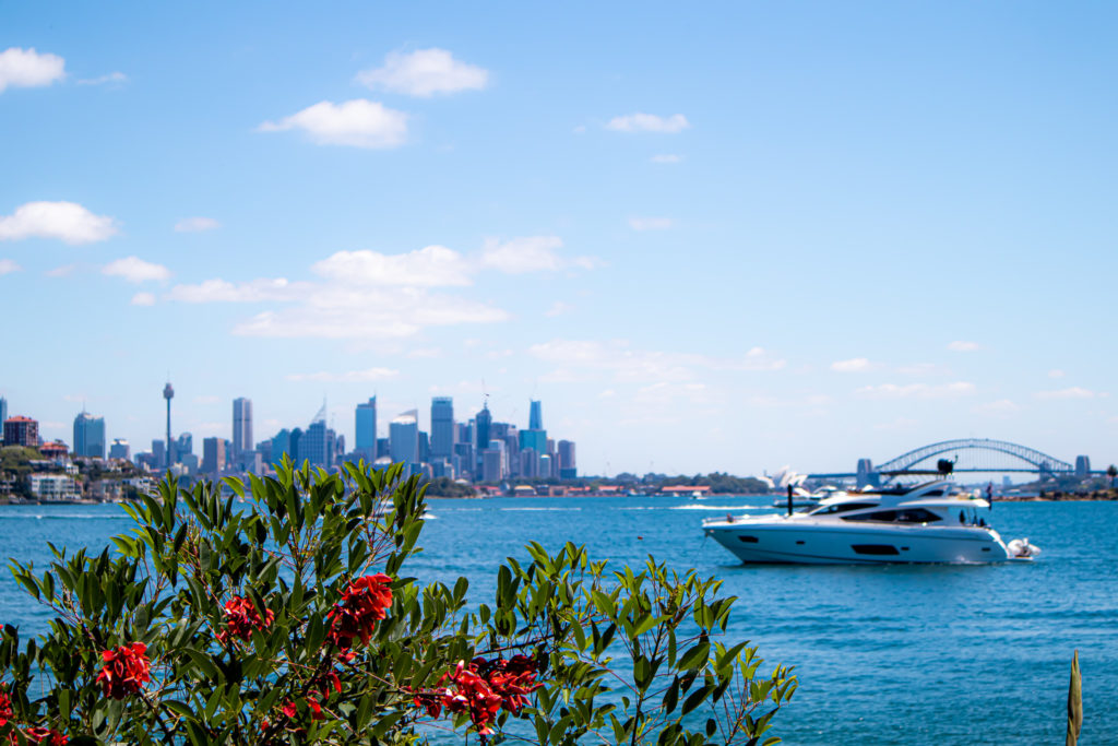 Skyline views on the Rose Bay to Watsons Bay Walk