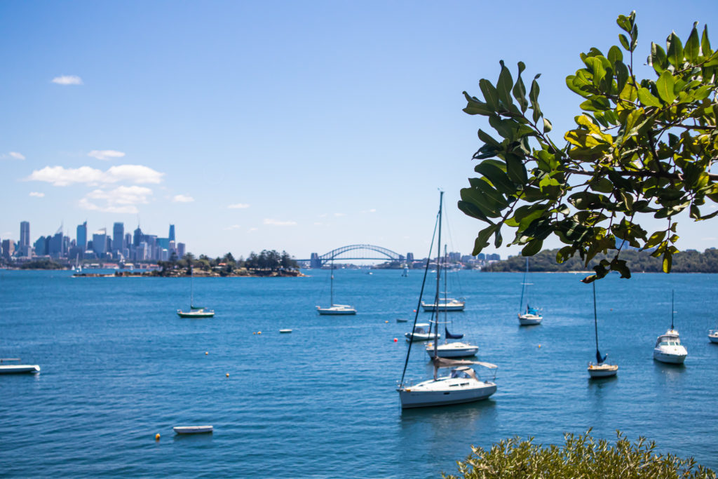 Harbour Views on the Rose Bay to Watsons Bay walk