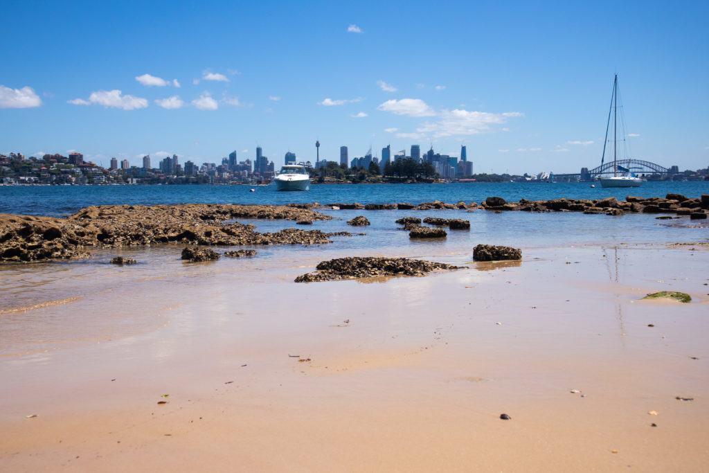 Beach on the Rose Bay to Watsons Bay Walk