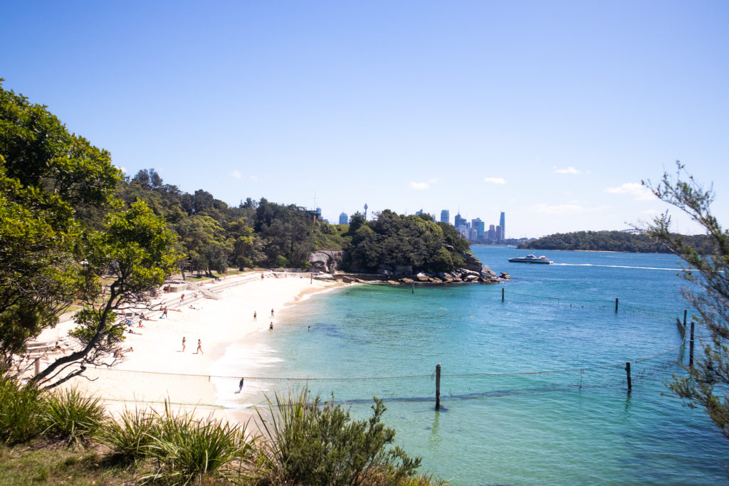 Views of Shark Beach