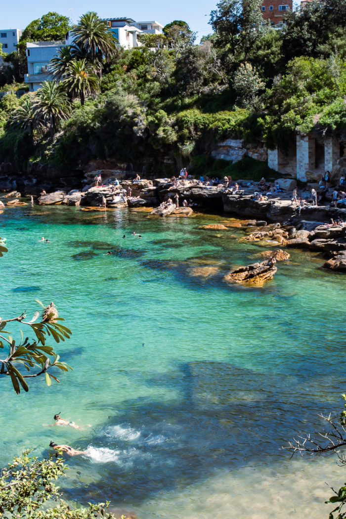 What to See on the Bondi to Coogee Walk