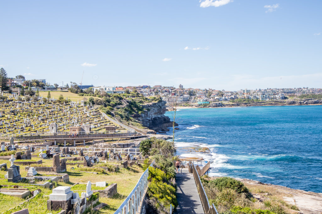 Bondi to Coogee walk: Waverly cemetery