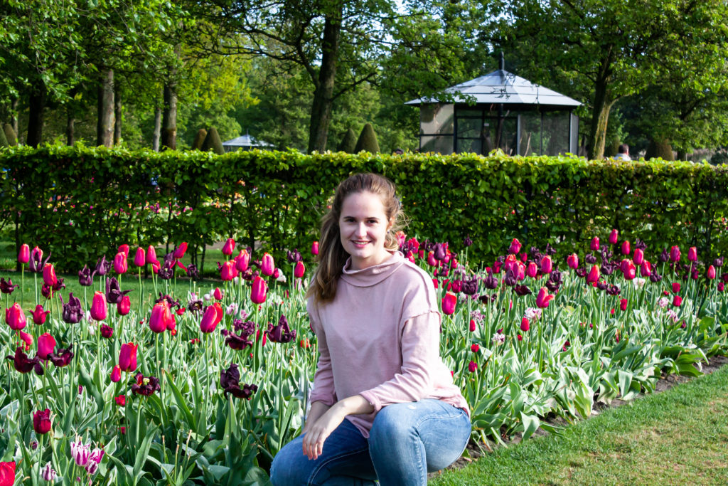 sitting in front of tulip fields in the netherlands