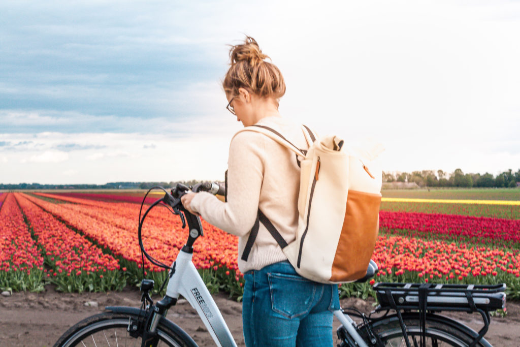 tulip fields in the netherlands bike tour