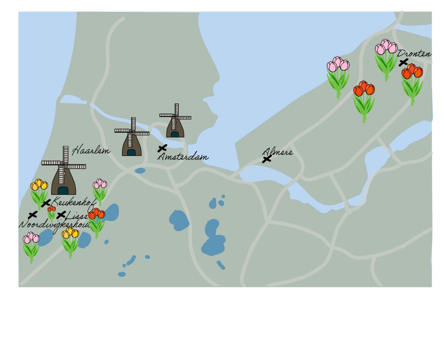 How to Visit Tulip Fields in the Netherlands - The Globewanderin