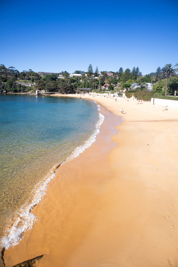 watsons bay walk: sandy beach