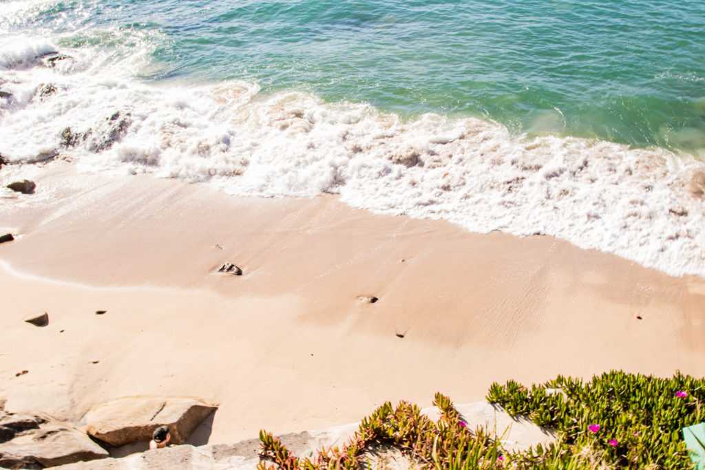 best walks in sydney: lady bay beach