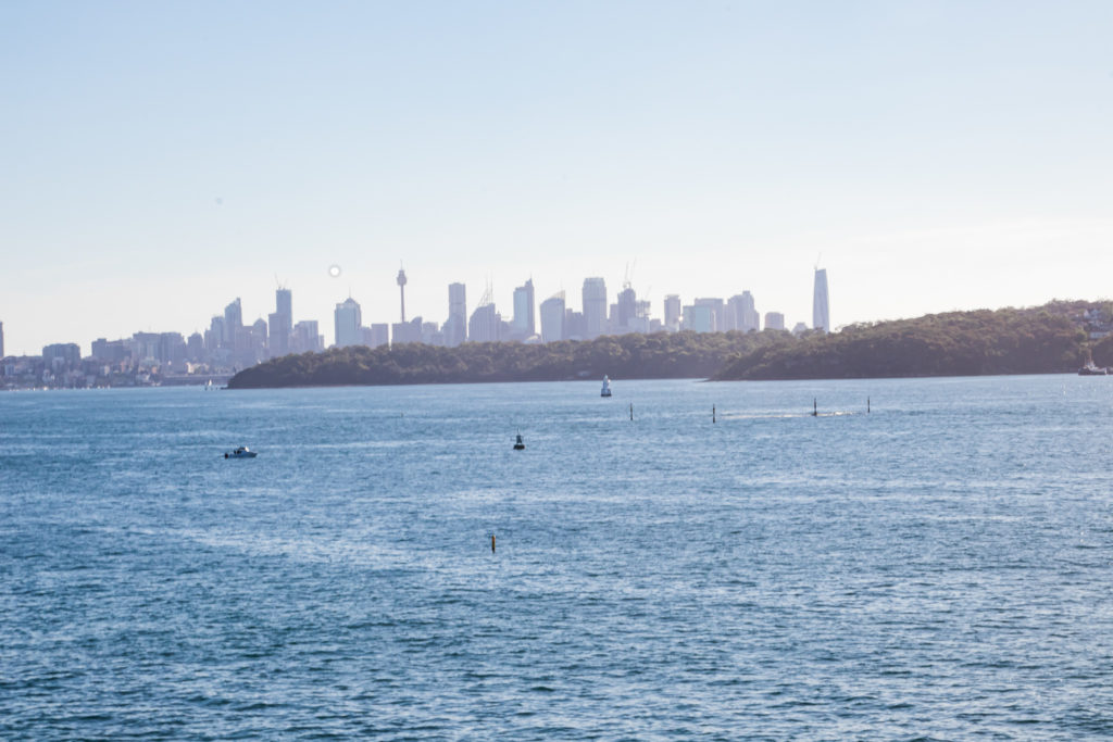 city view on the best walk in sydney