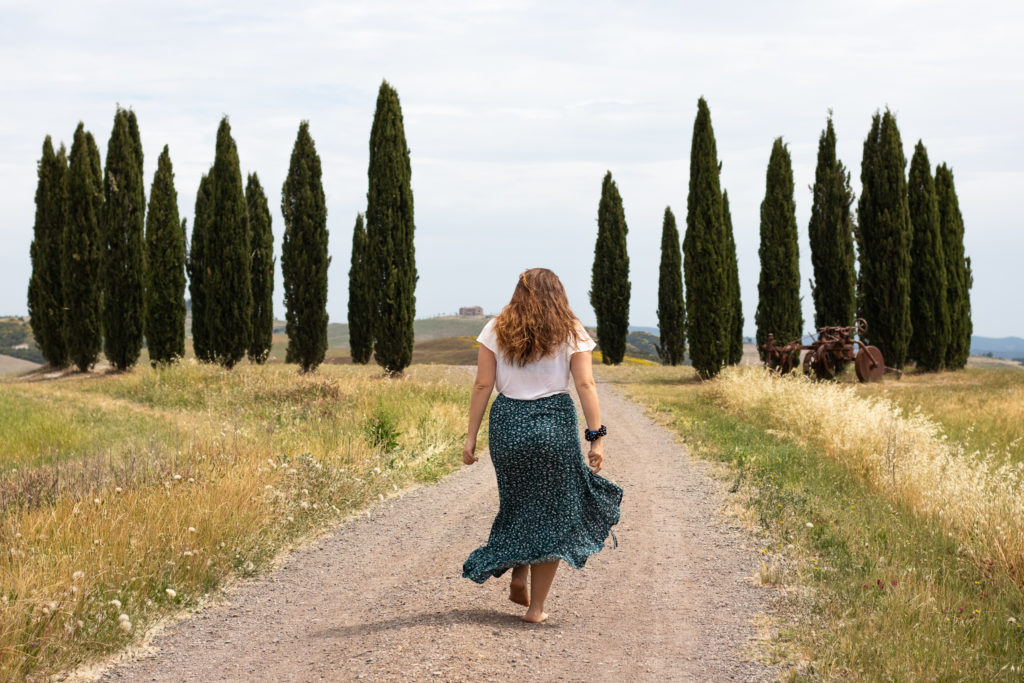 tuscany travel guide: cypresses in val d'Orcia