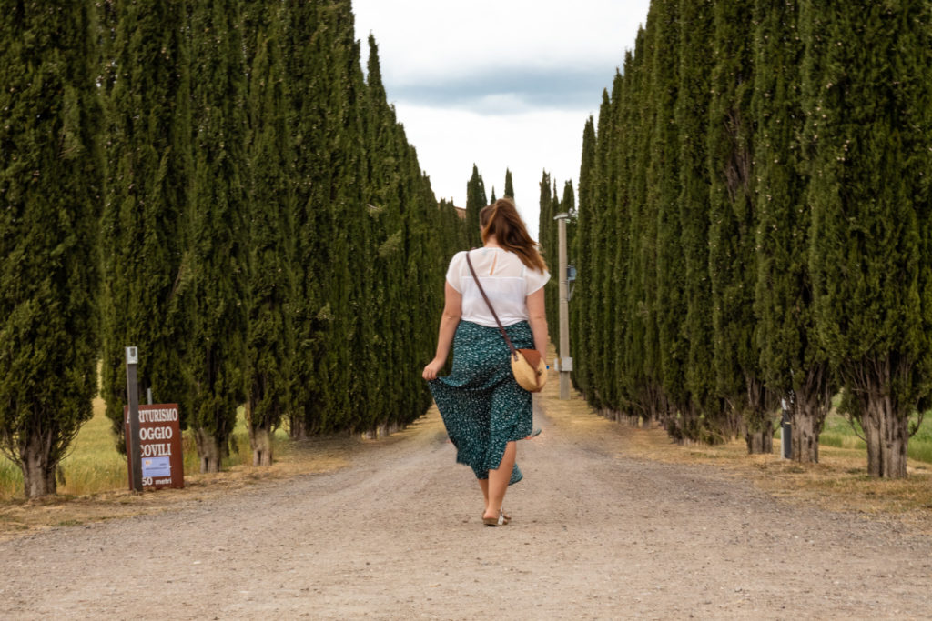 best places to visit tuscany italy: cypress alleys at an agriturismo