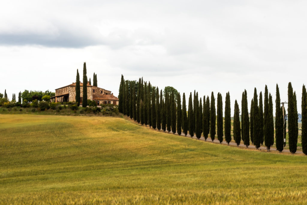 best places to visit in tuscany italy: val d'Orcia with cypress alleys