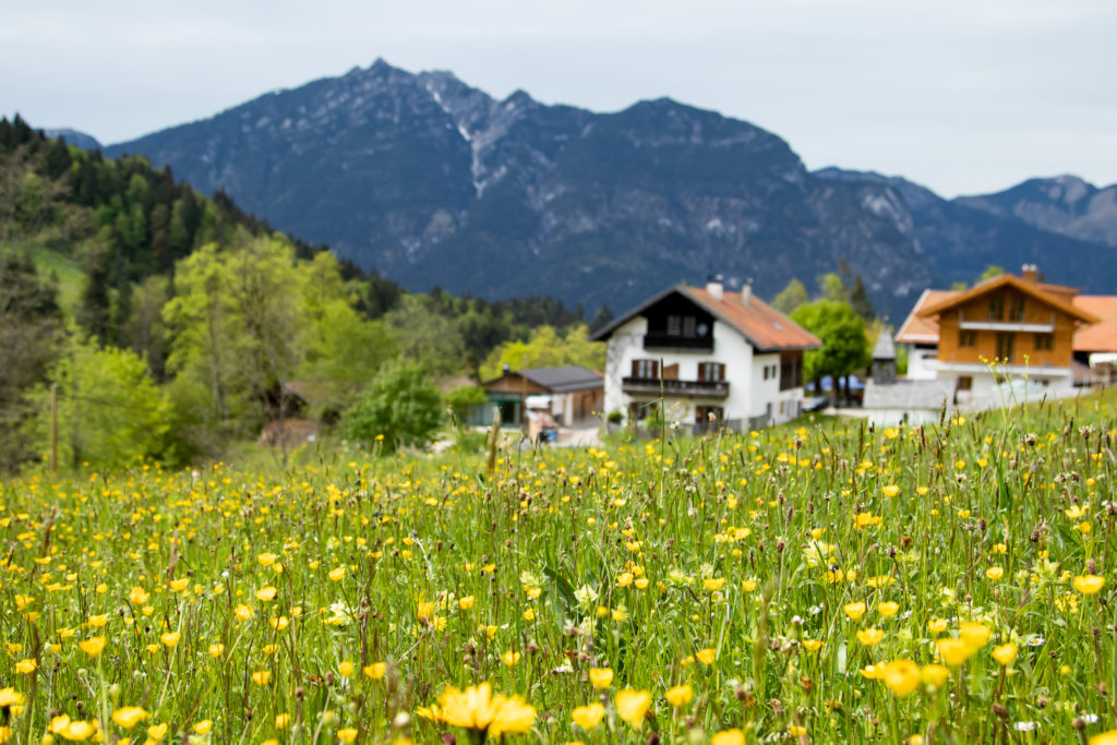 garmisch partenkirchen tourist card