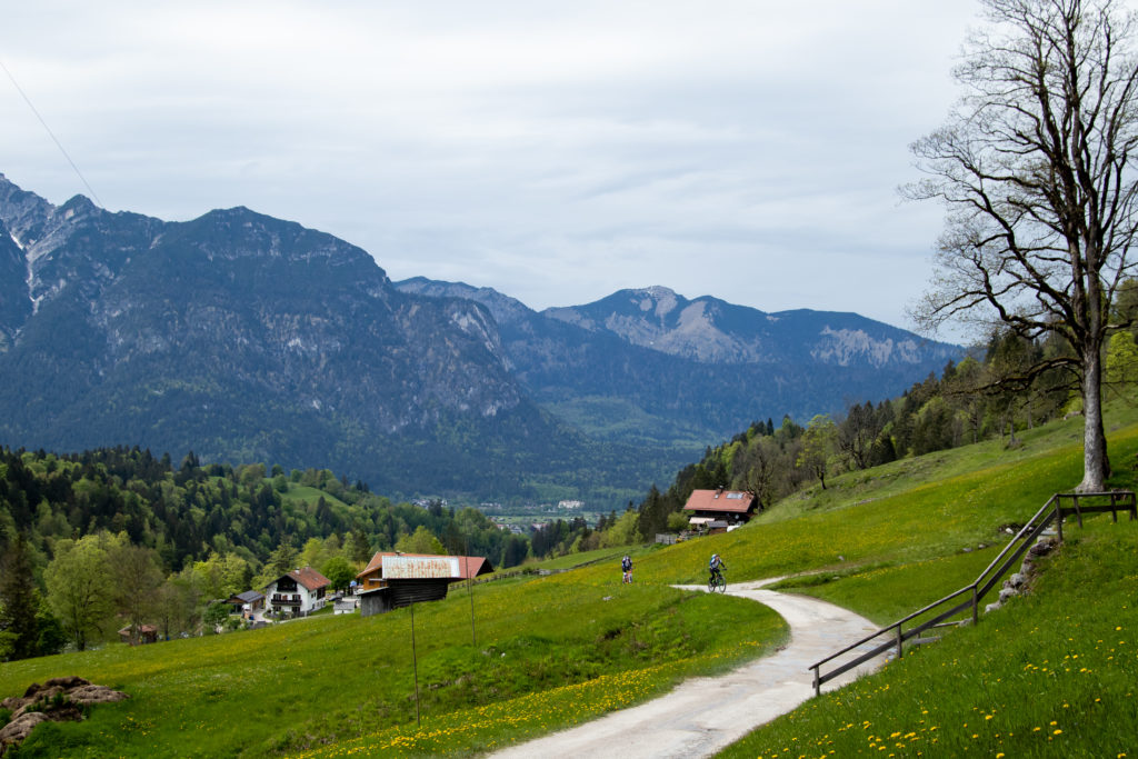 mountain meadows