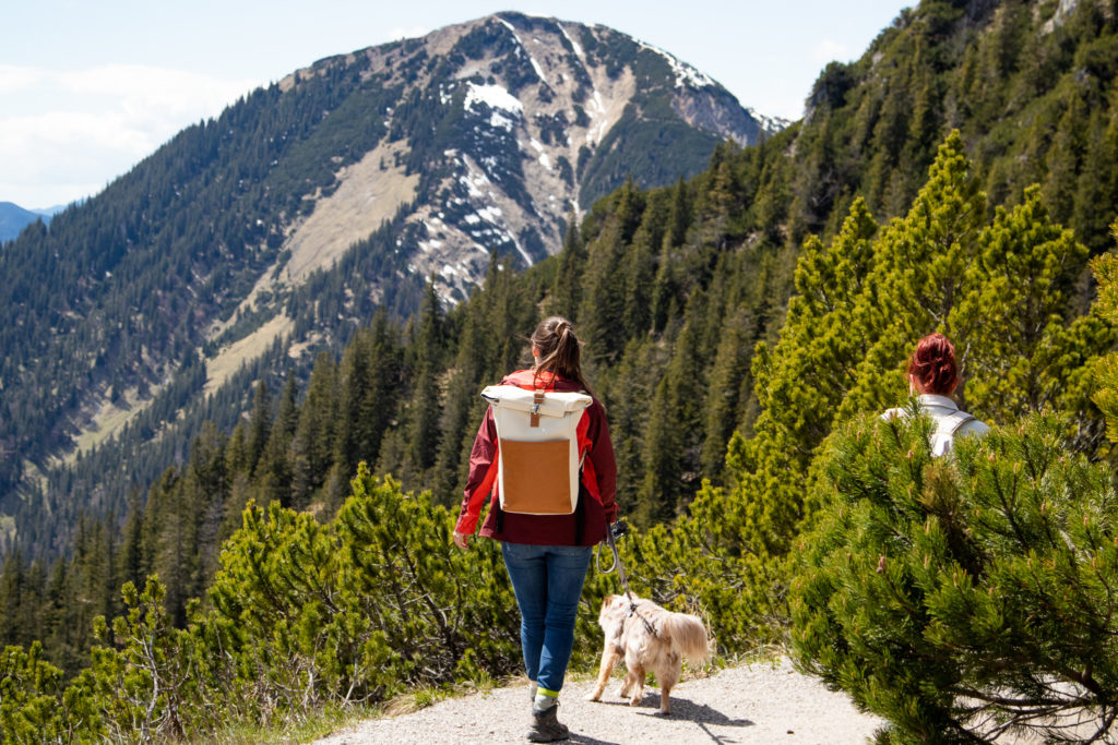 hiking on the Herzogstand: one of the best things to do in bavaria