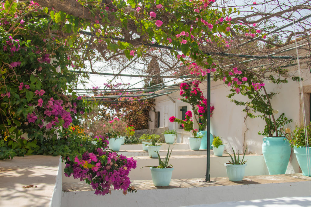 the best things to do in Corfu: Garden at Paleokastritsa Monastery