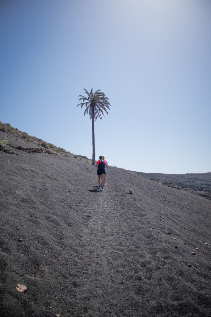 the best things to do in Lanzarote: palm tree on a hike