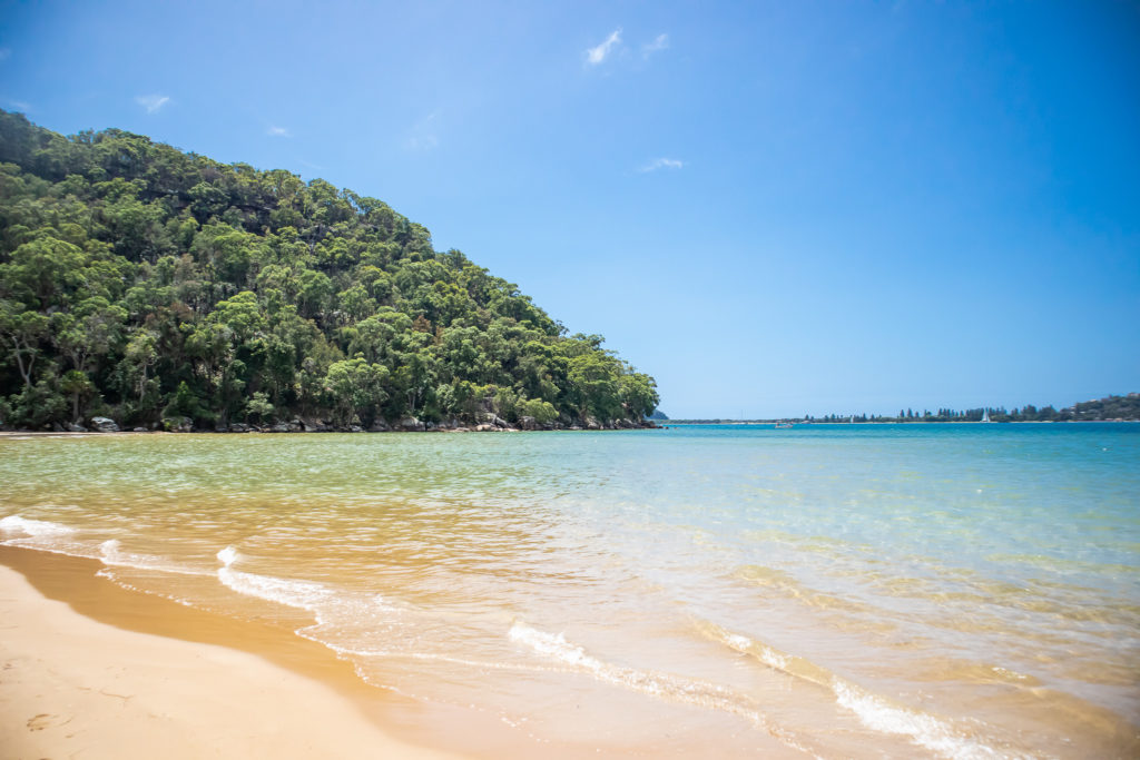 beach on the best walk around Sydney