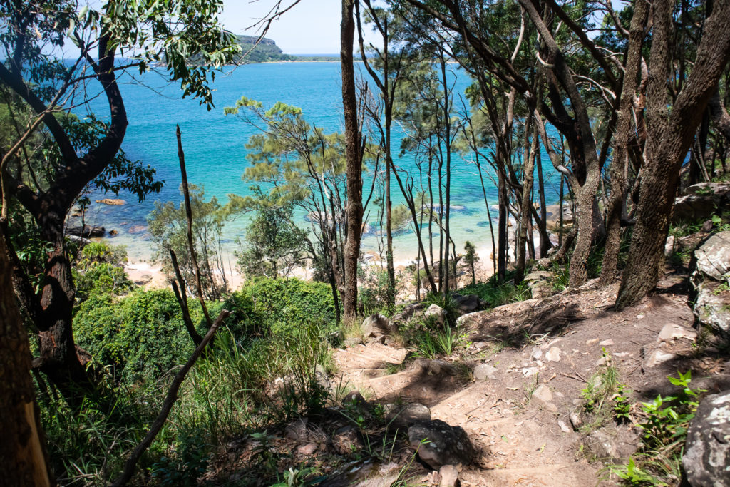 stairs to west head beach