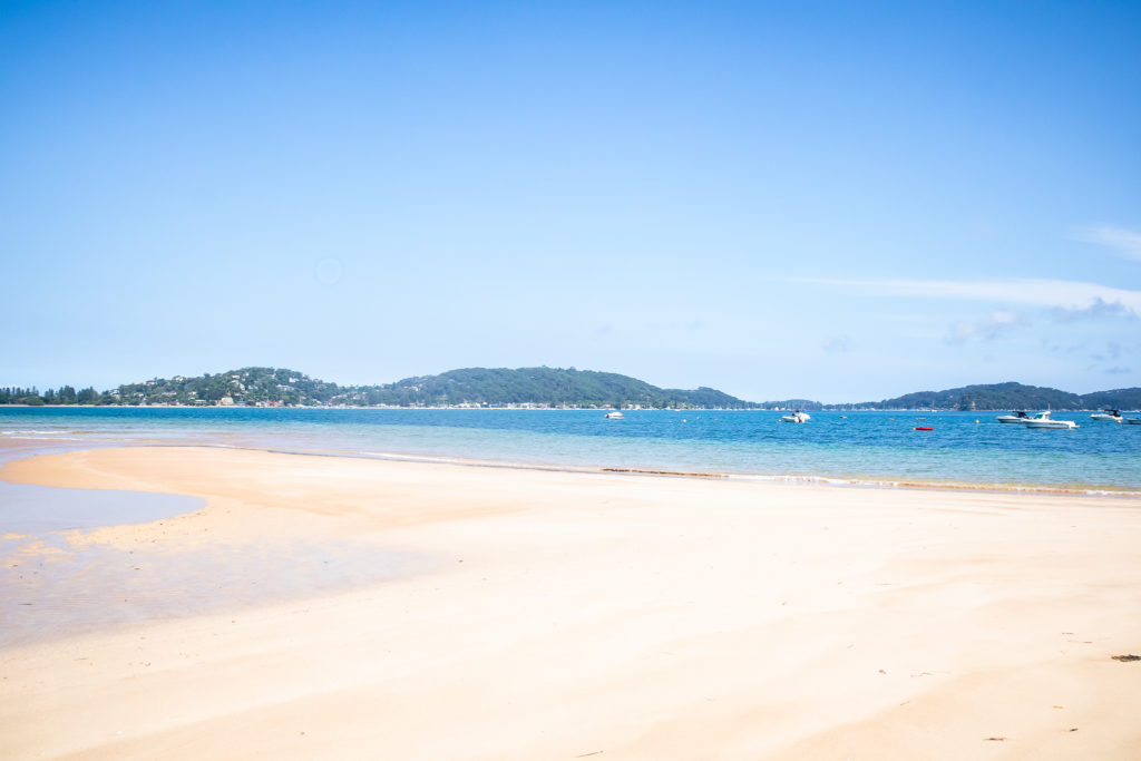 Mackerel Beach on the Resolute Loop Walk in Ku-ring-gai Chase National Park