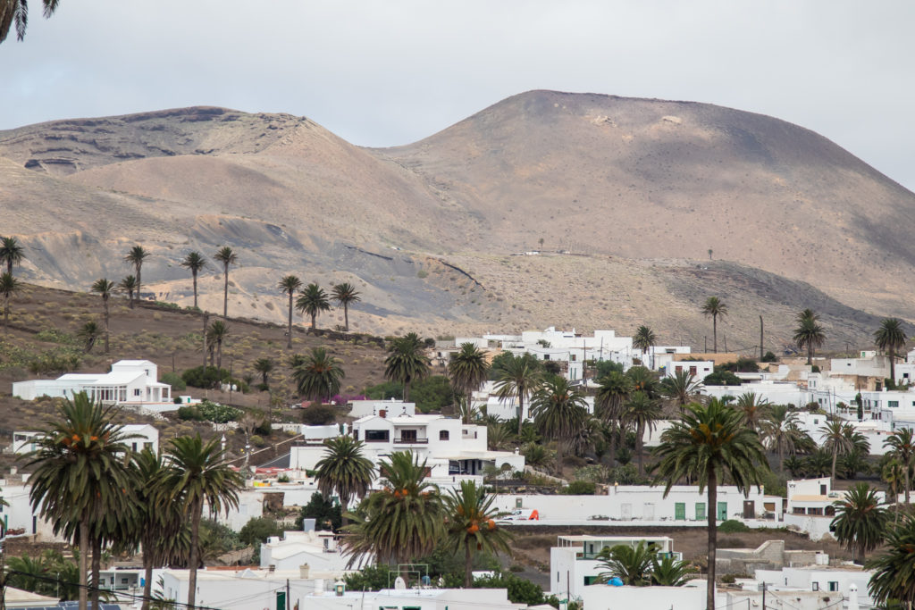 the best things to do in Lanzarote: valley of 1000 palms