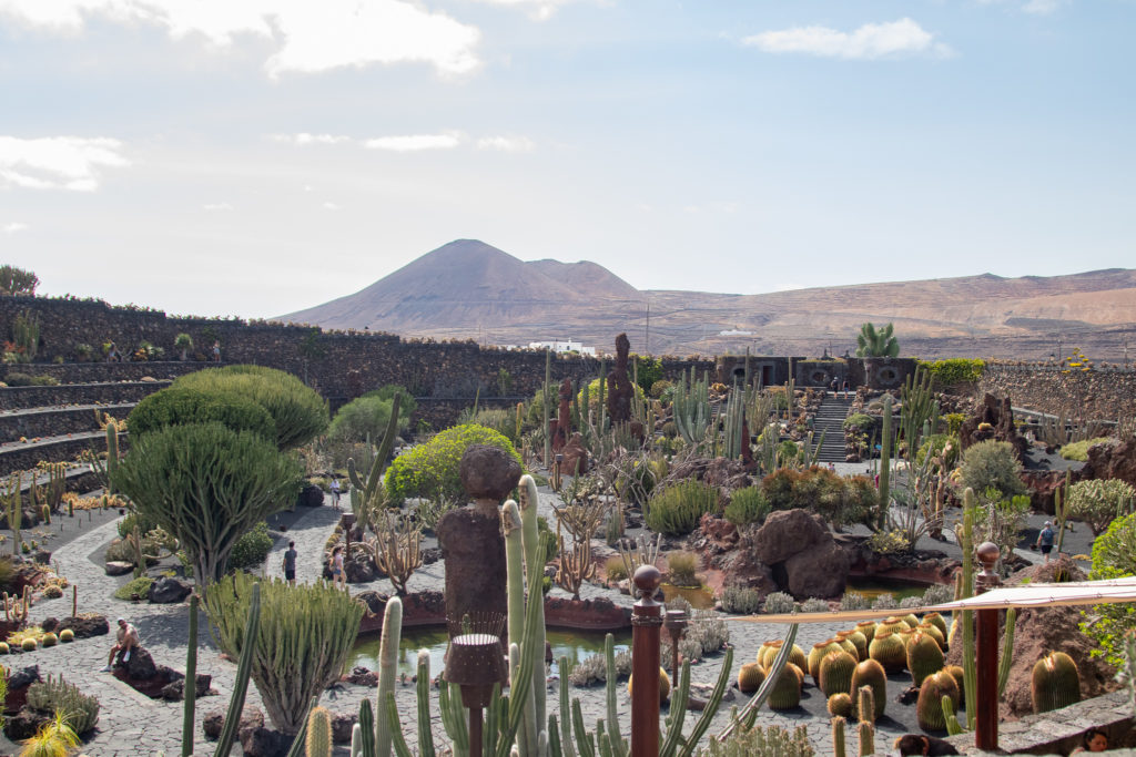 the best things to do in Lanzarote: Cactus garden