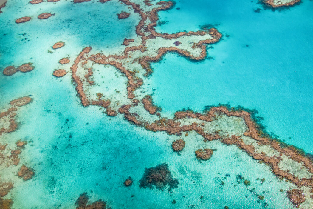 The Ultimate Queensland Bucket List – Things Not to Miss in Queensland
